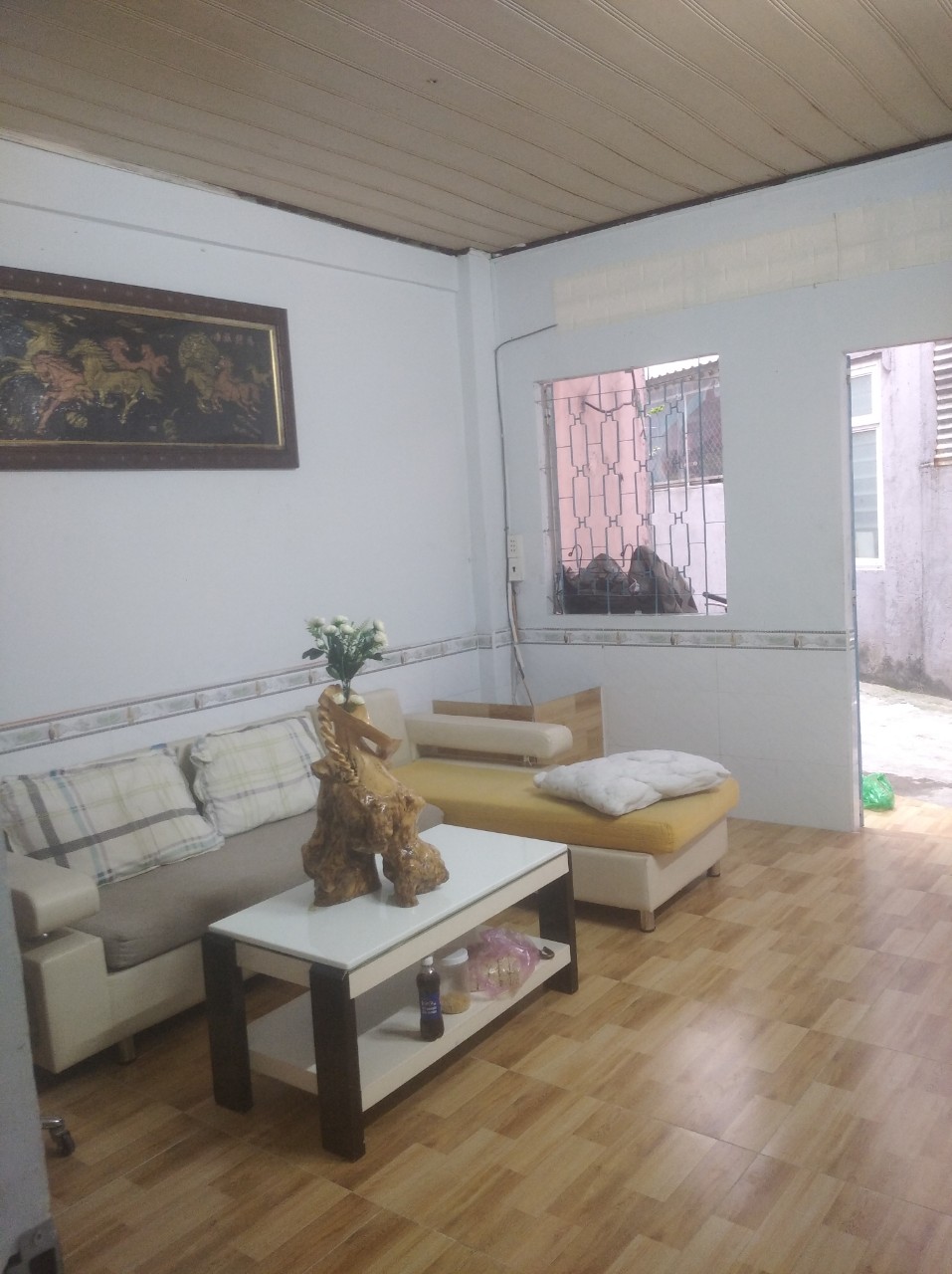 z5050630526925_df406d71ba5551c3ff422c324418dcd3