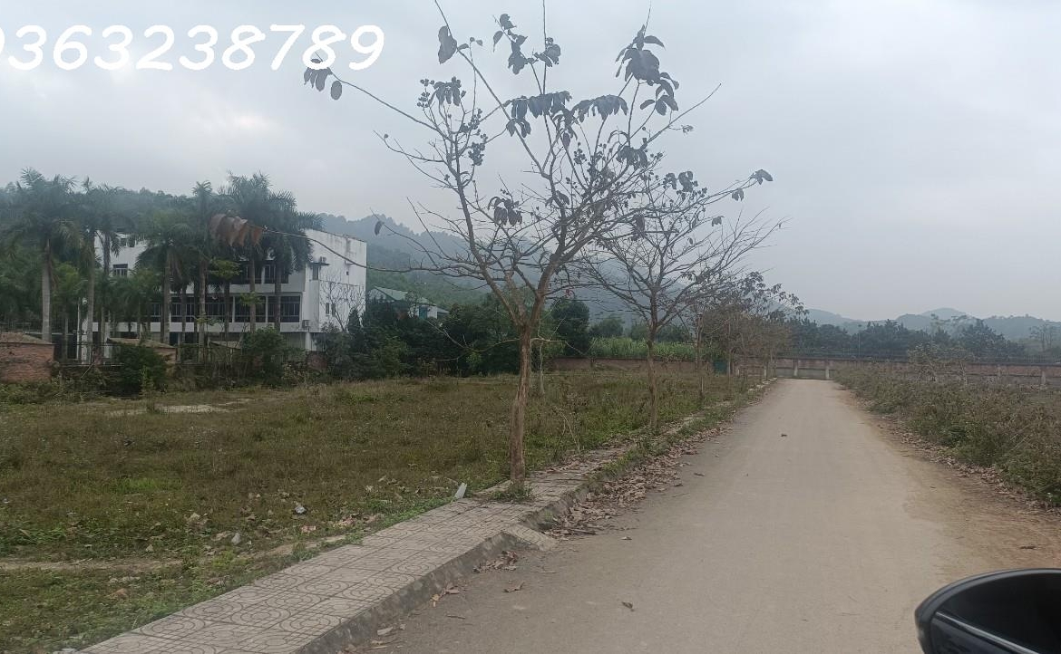 z5056537168805_c570a229c8cf036be4e70bddcf3fd329