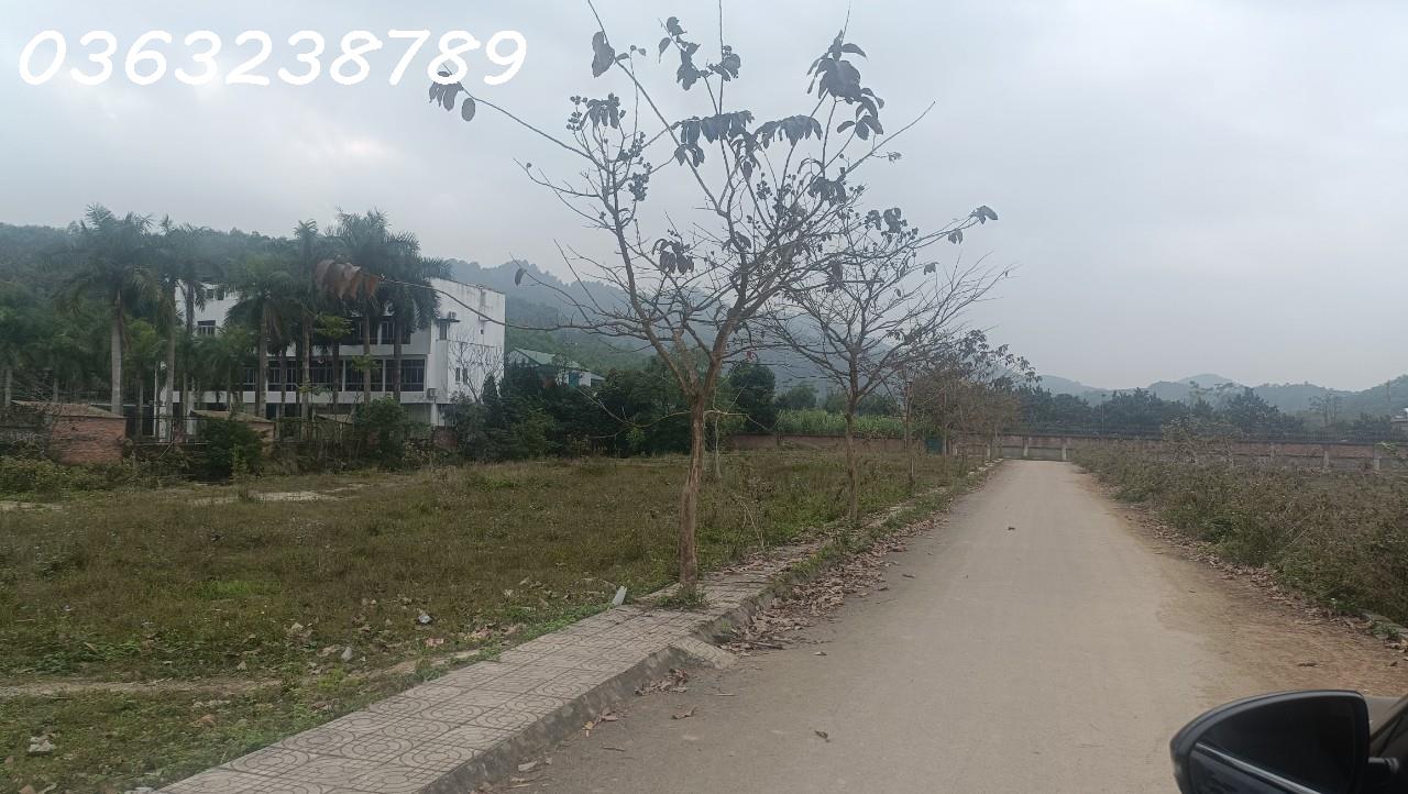 z5056537168805_c570a229c8cf036be4e70bddcf3fd329