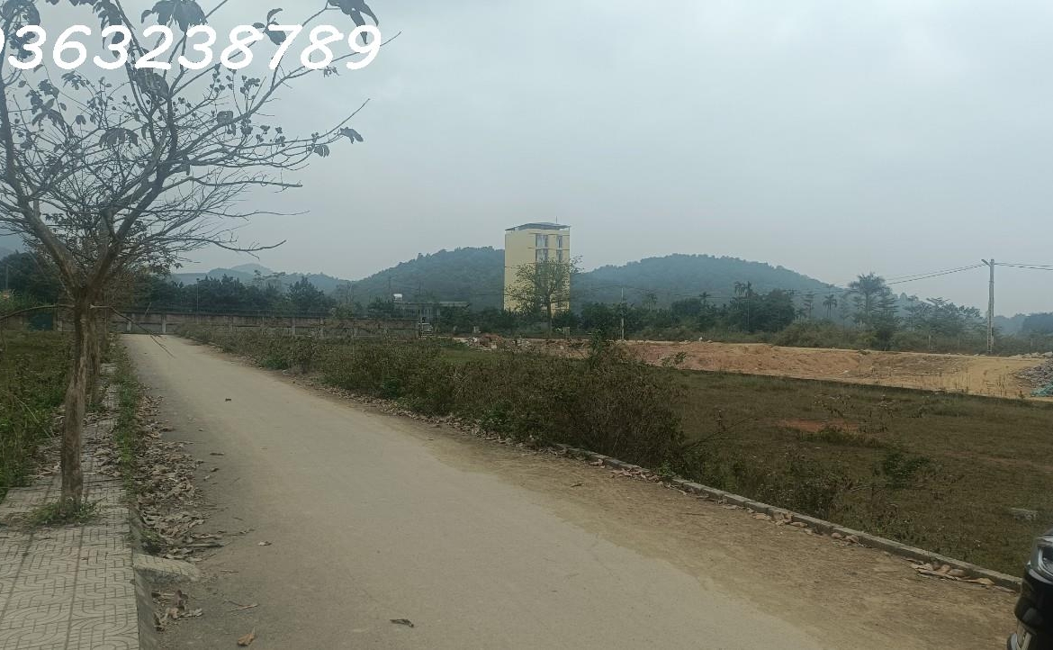 z5056537173913_84a4844886bb5570643e476ca297f6bd