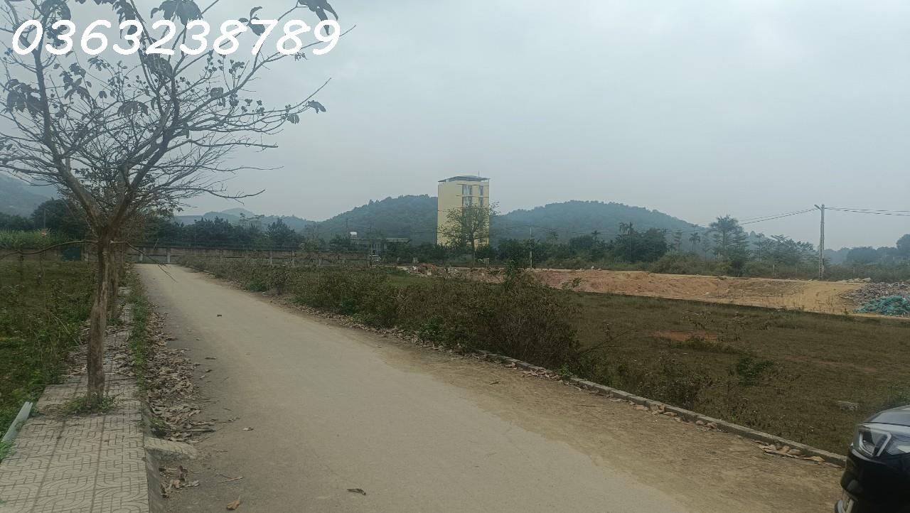 z5056537173913_84a4844886bb5570643e476ca297f6bd