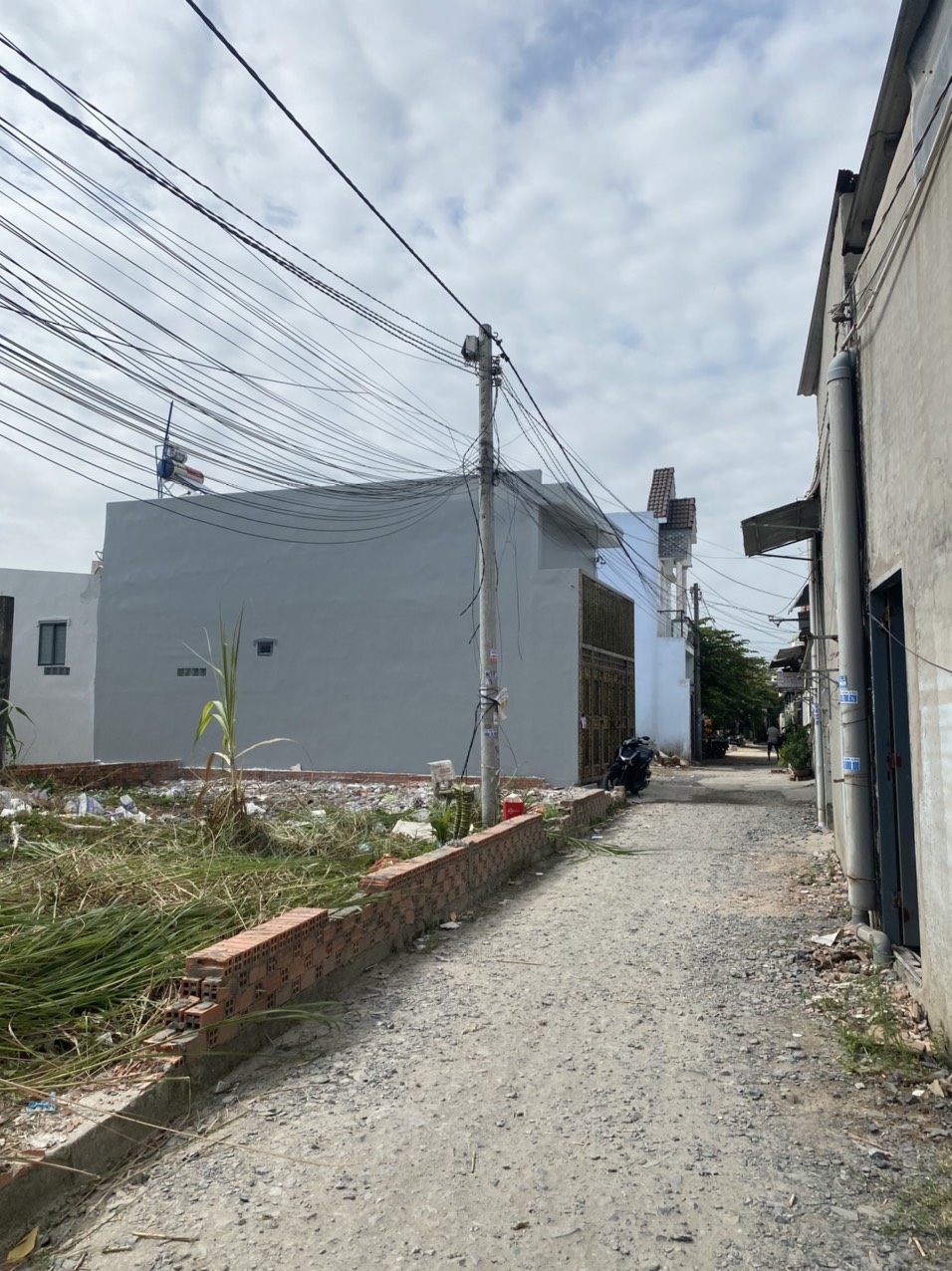 z5057962399534_b8b1c25f84f6554ea22343550b09996a