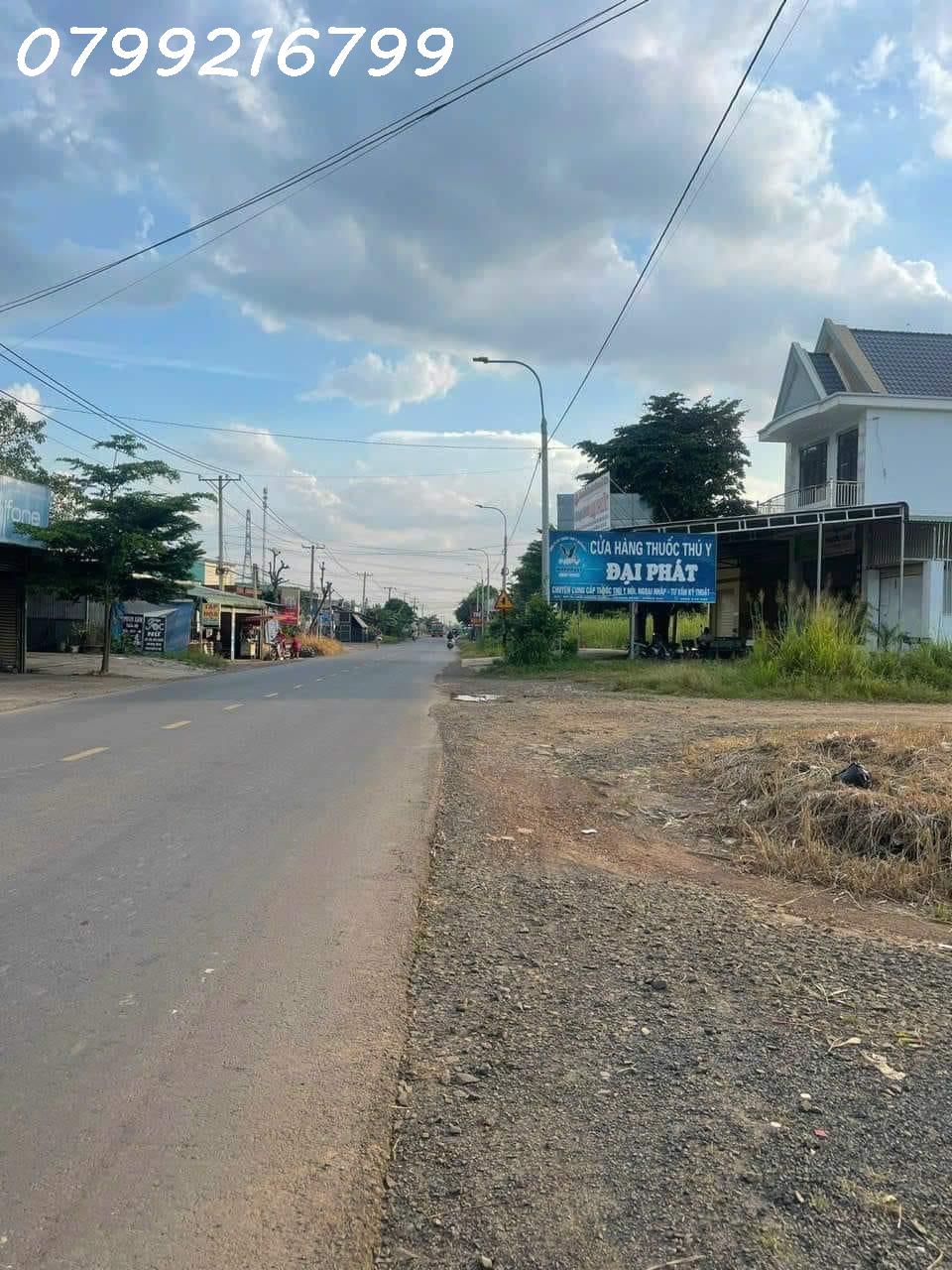 z5060240491444_97a2bd0f98c31b19738be3c32487d0d6.jpg_bak_638405622759374598