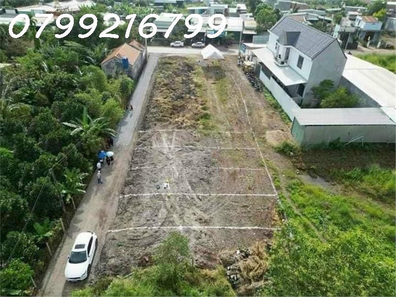 z5060240498993_0269118efe0153a725c63945fac5a7ff