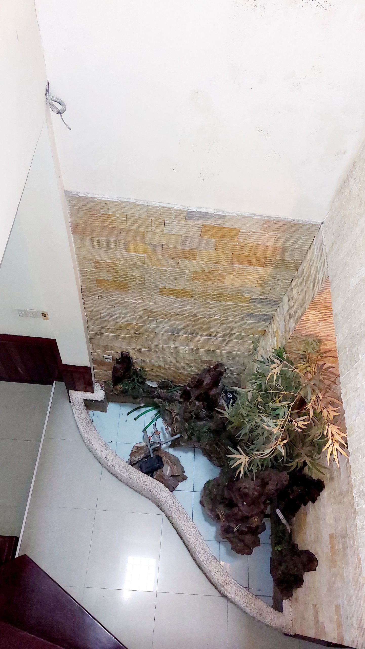 z5061159608450_b58d2c8fdd55cb125ebaed6b9ae049e4