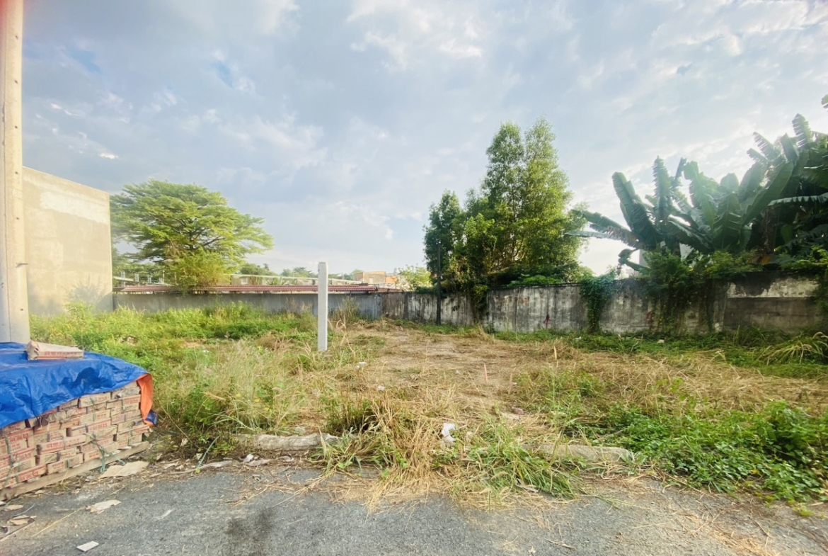 z5066971801774_5d4df5ef68bfc396f677a4f5708b1a1a