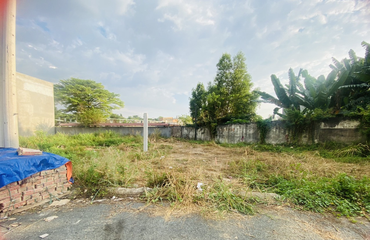 z5066971801774_5d4df5ef68bfc396f677a4f5708b1a1a