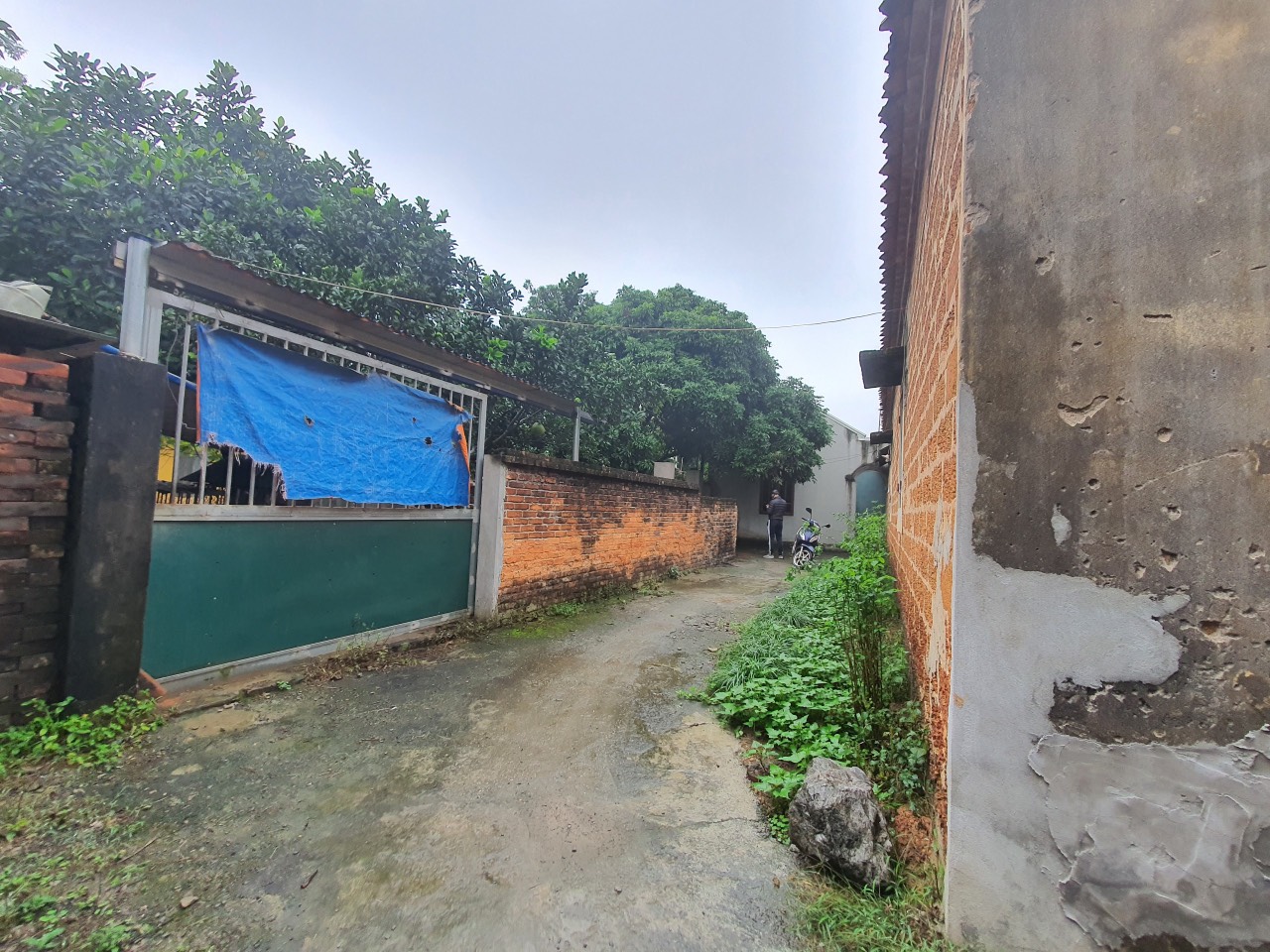 z5067006571350_2aaab5e49e9c8d3c38160b774d5e6b89