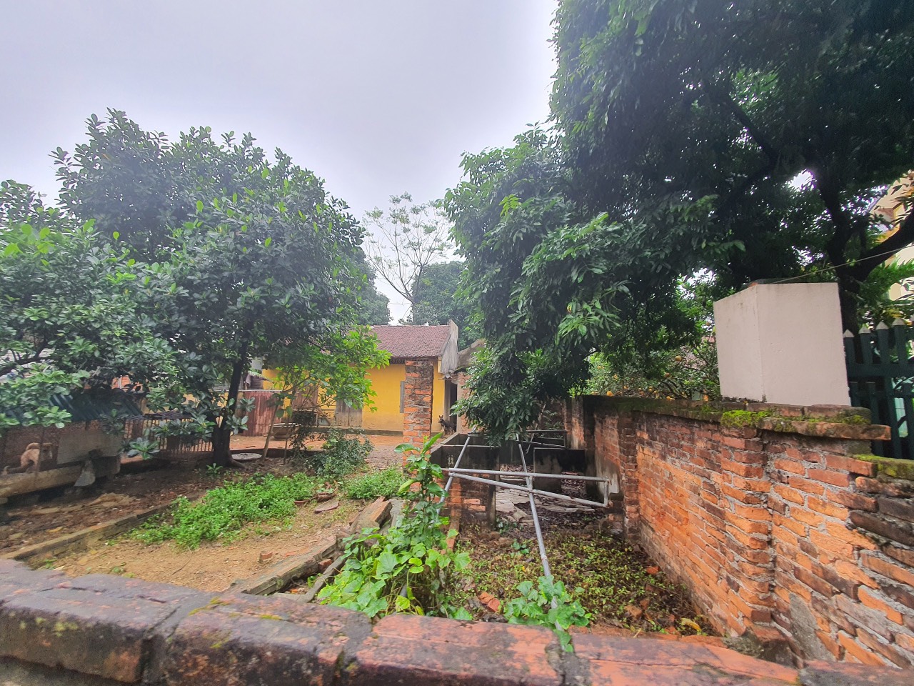 z5067006572398_37934d454eeb91711ceb319ef45b2243