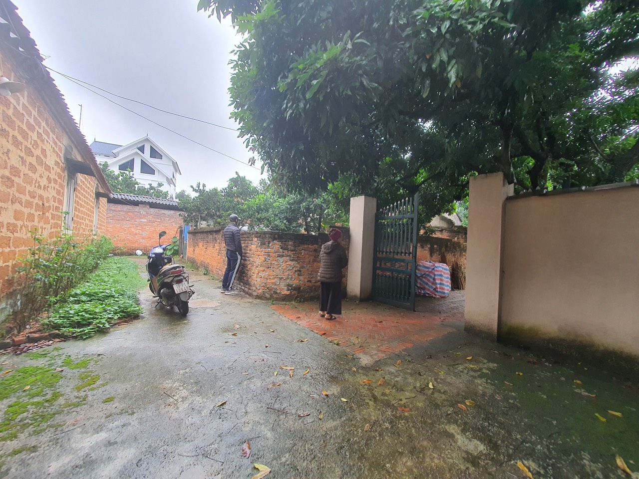 z5067006582231_bf854c531876d80042dc67bb7ff40174