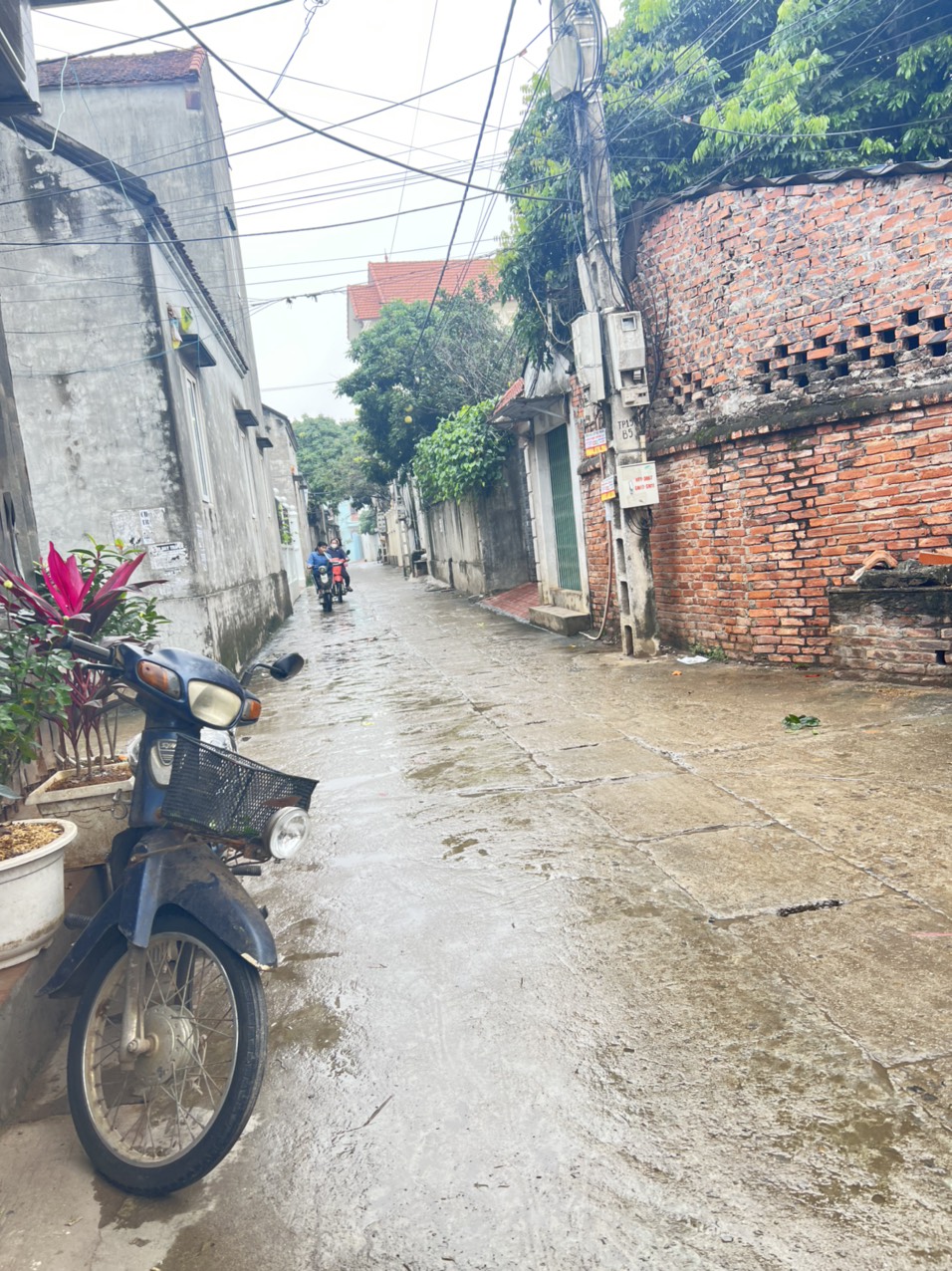 z5069771094614_4be3e35221e4062fa2315000e86a07ea