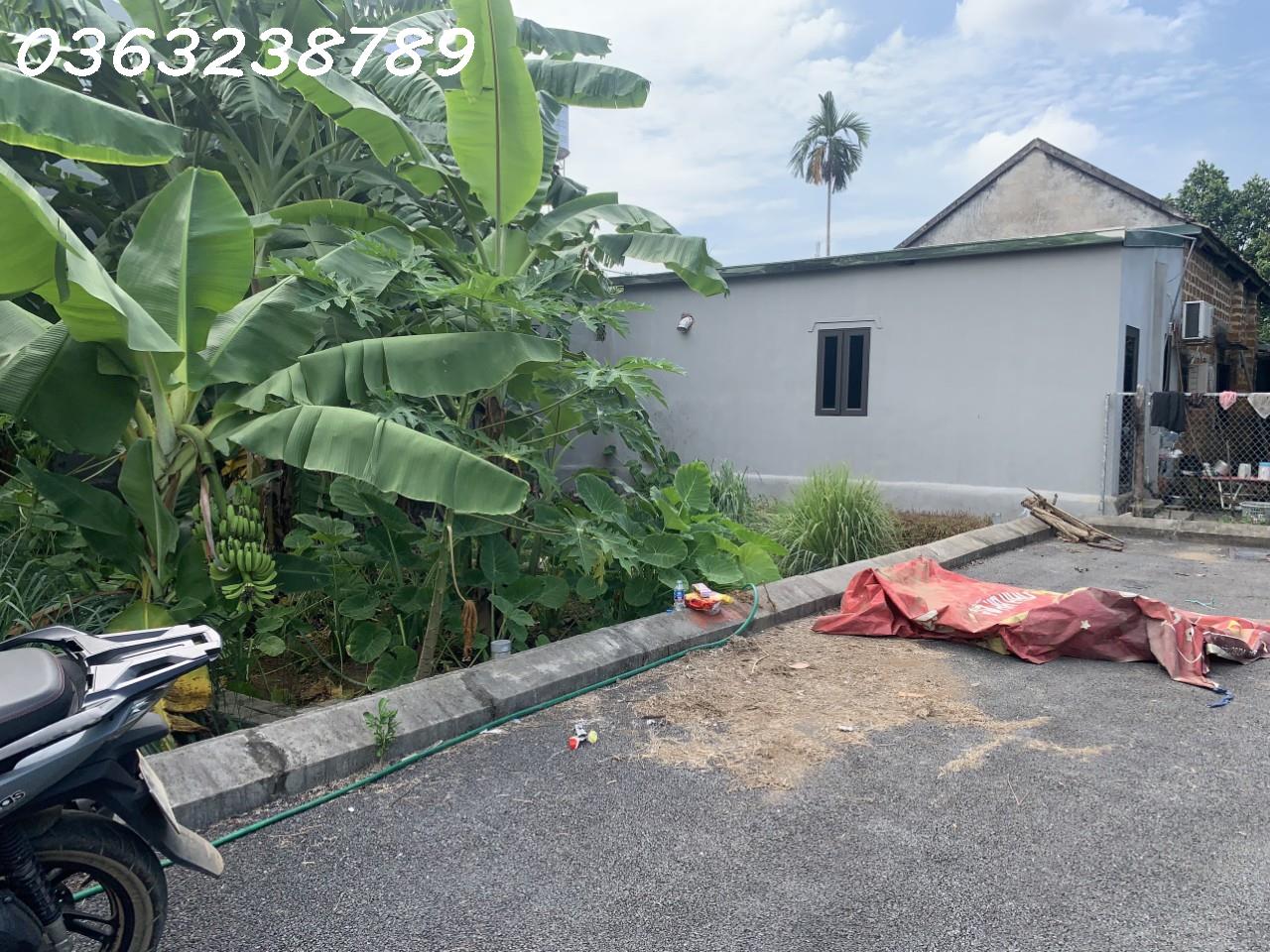 z5072021613451_67b3eb7a82cae24f16b1d6a75c50a739