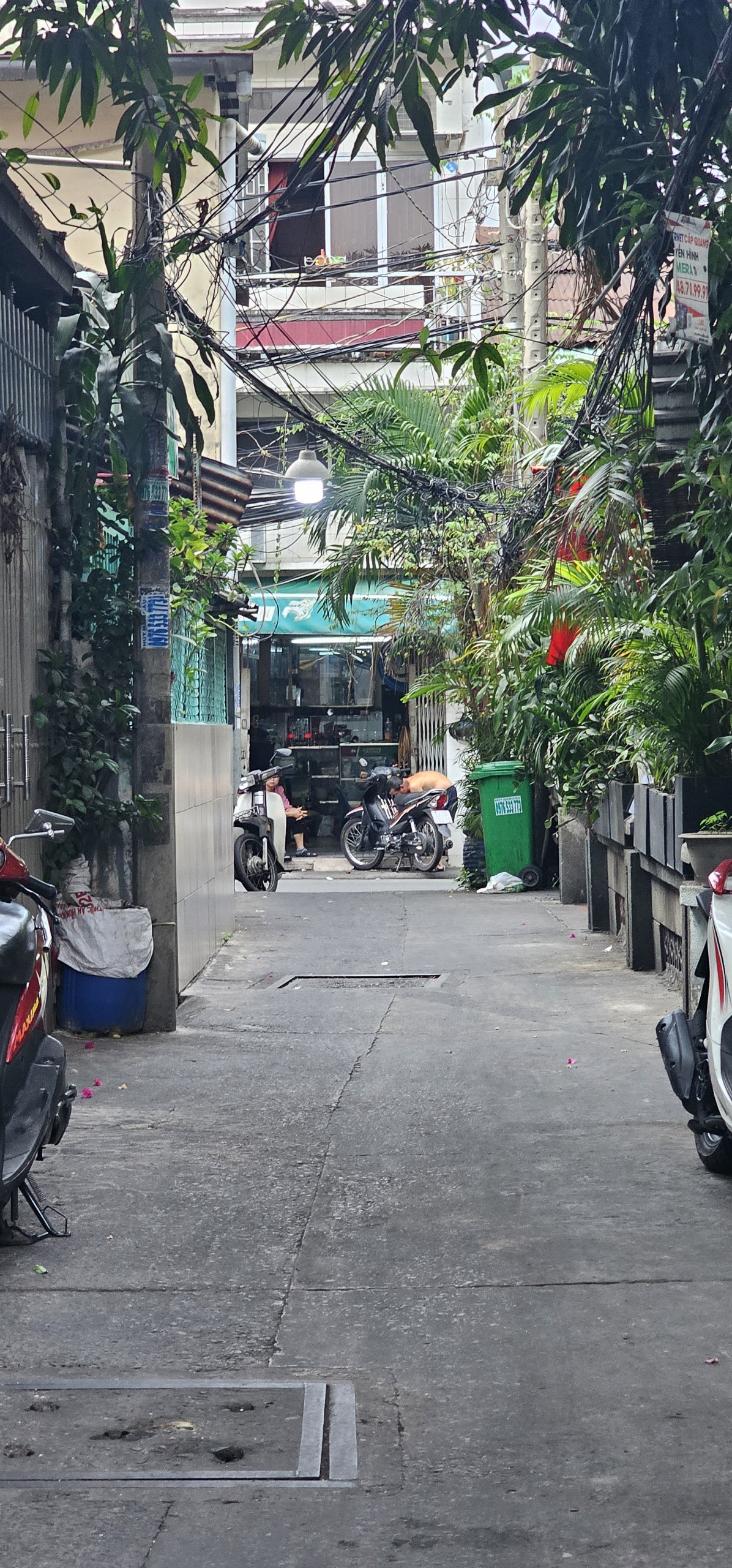 z5078274131429_f921b1cd74a6fb32e29a133fd90a1ffa