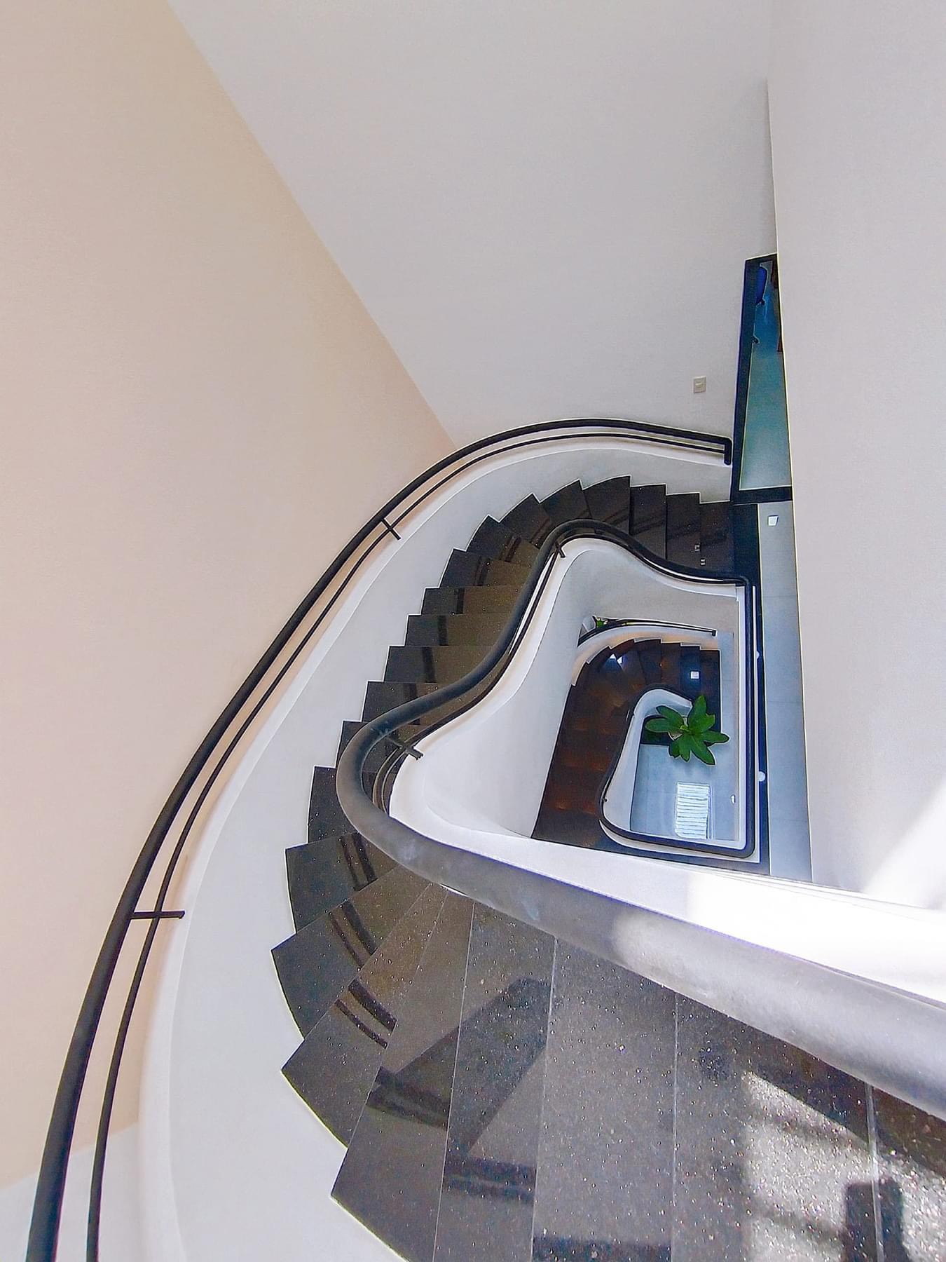 z5081131533345_c842a132d82105eee3dcc207c0f399f1