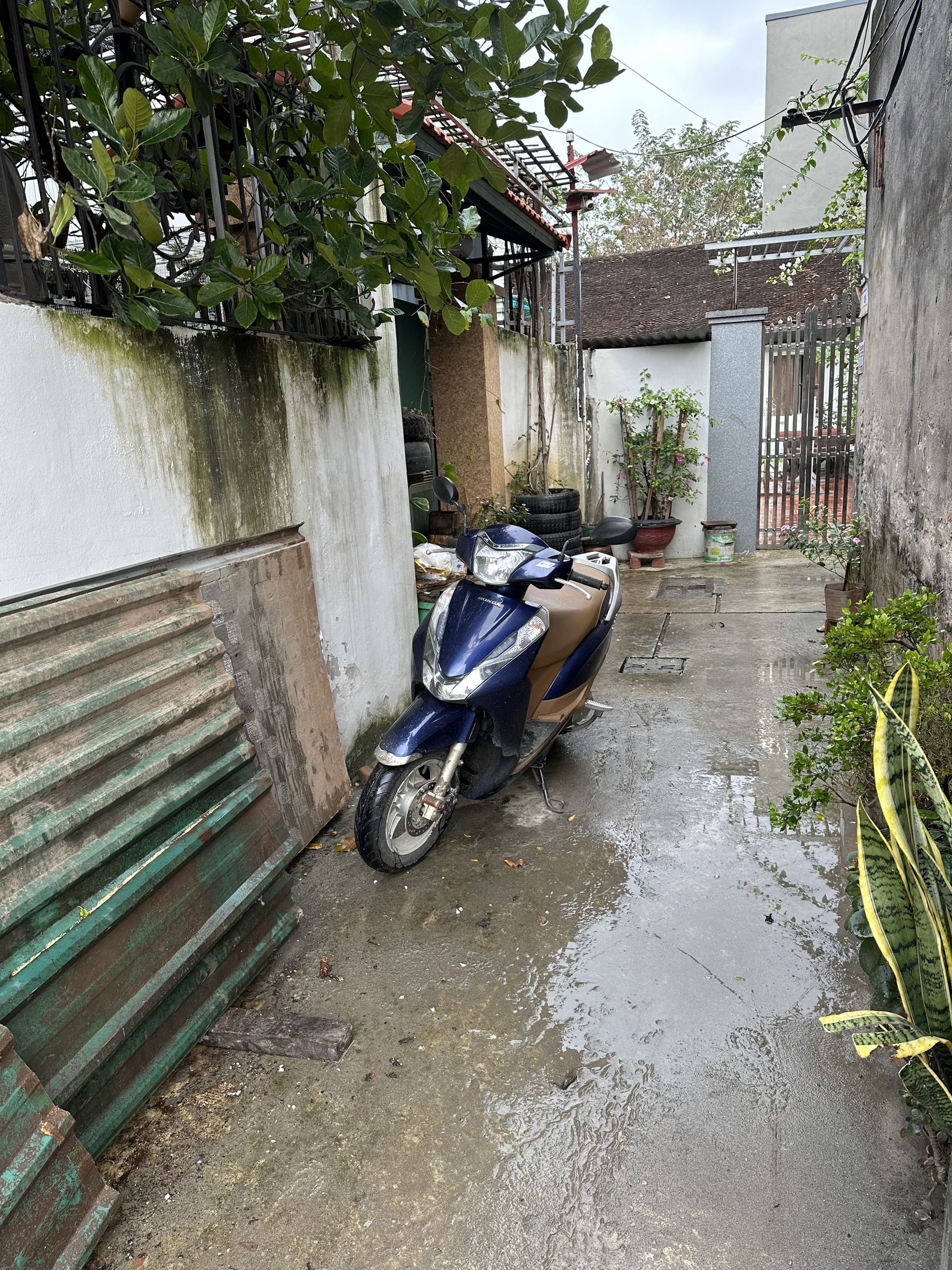 z5085962779995_d16a355a18c770b78fb05c79a00ae6d5