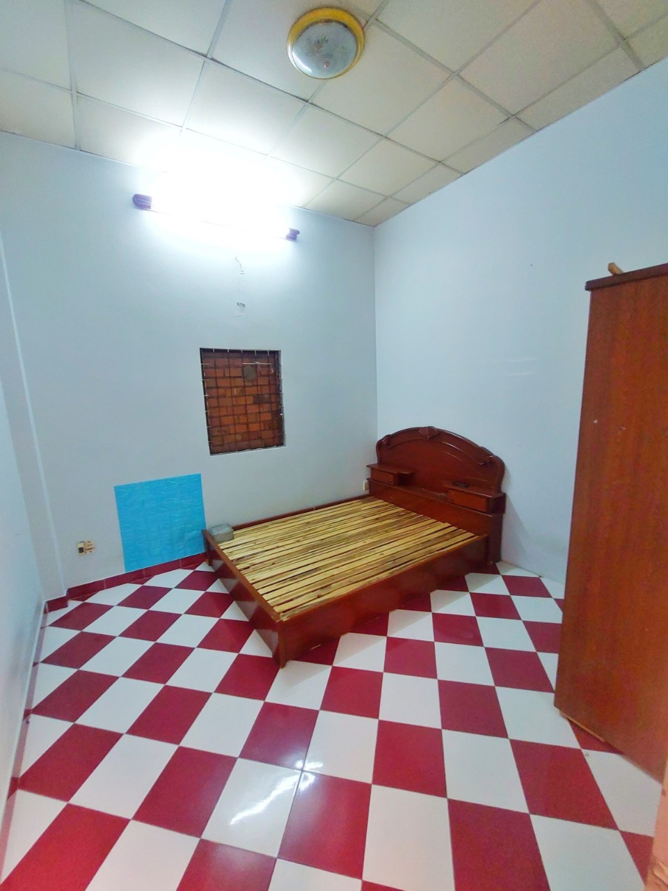 z5097387221052_3bb8cd8a7b259b46112b6f10a16394d4