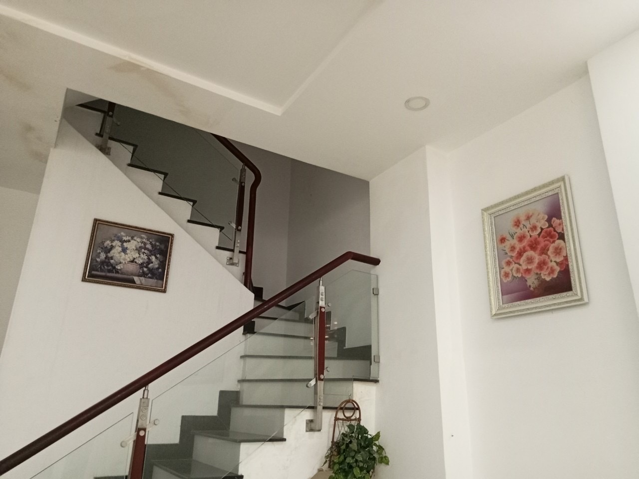 z5099689954477_5d4fe9122ab2162514600216fc28afbc