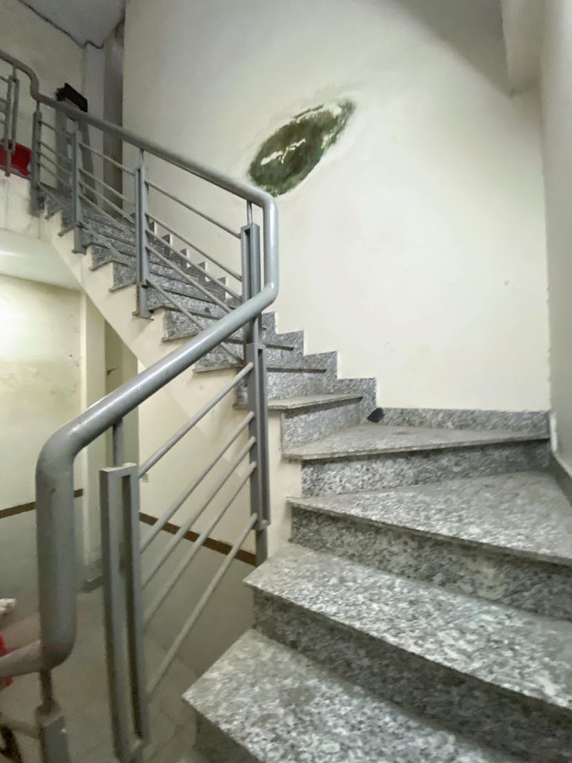 z5102421335519_e77dac92ca43194c89c639c69b90ef86