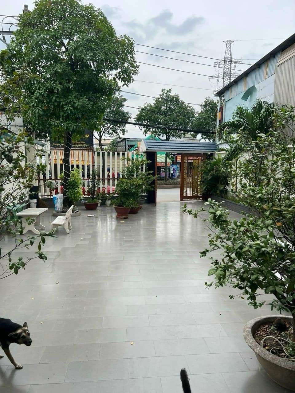 z5111002723583_72c2bc48f3b8272be25d65df7e7ad555