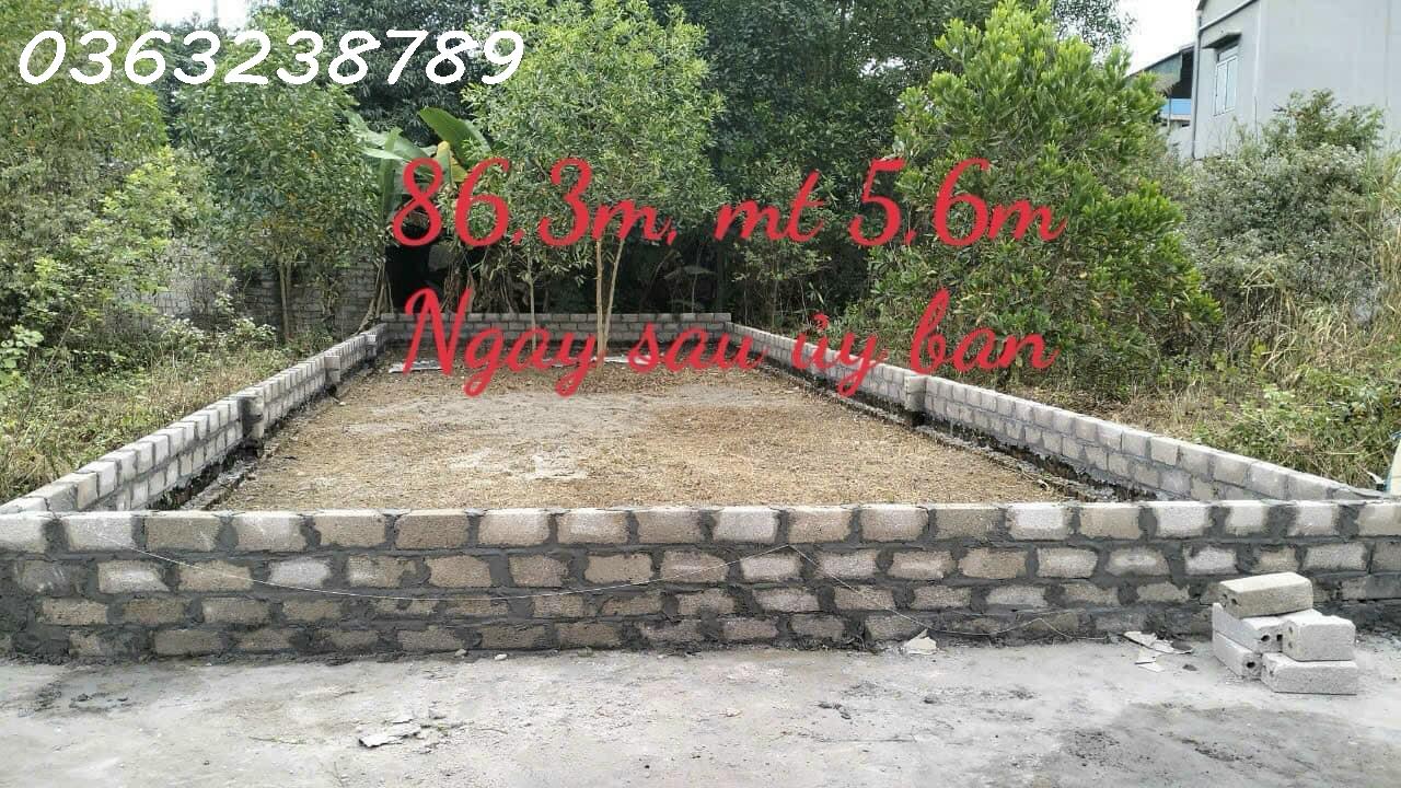 z5116046314330_0bd21454843a6e2d8ebf8428f1a960f7