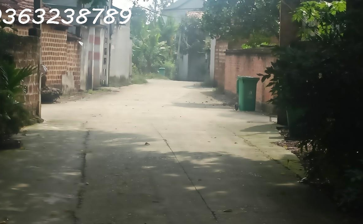 z5116046331447_987a5846d69f5b17183e16fac5033c7a