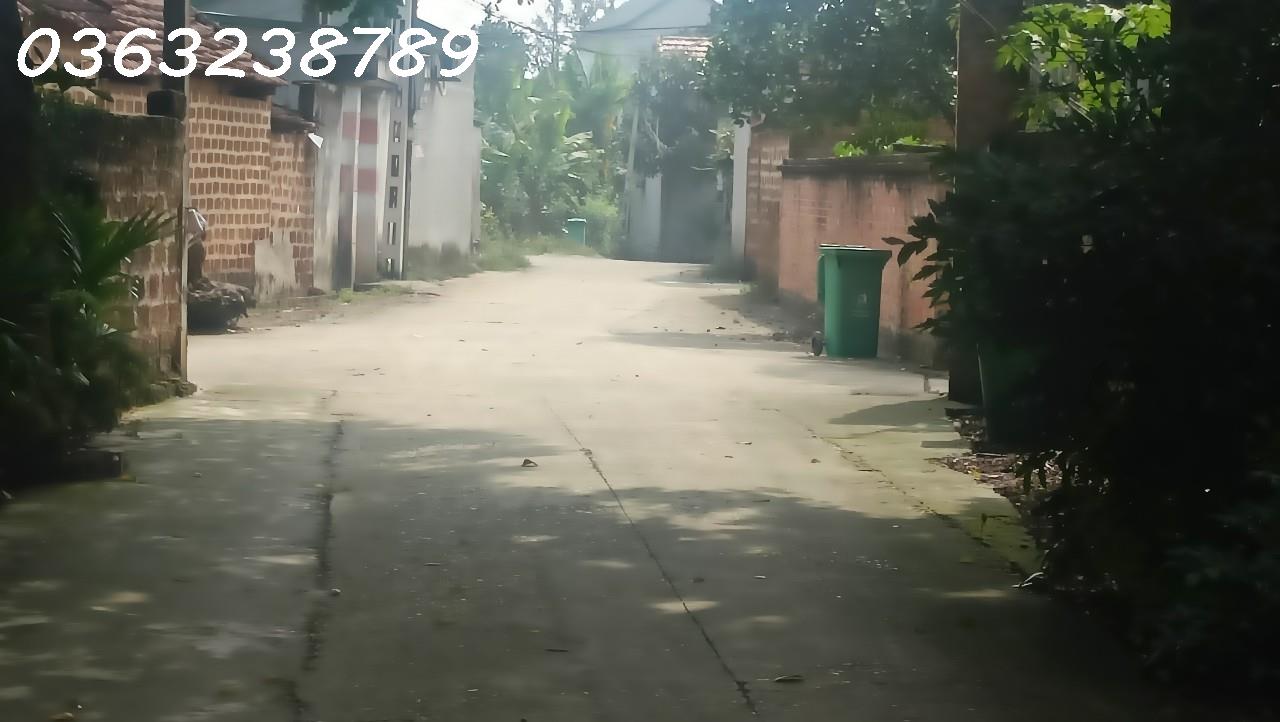 z5116046331447_987a5846d69f5b17183e16fac5033c7a