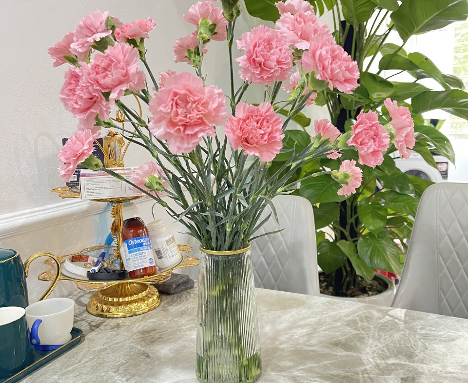 z5116054137826_d9dd35f9010aaf0b7a5aefa04c140a7f (1)