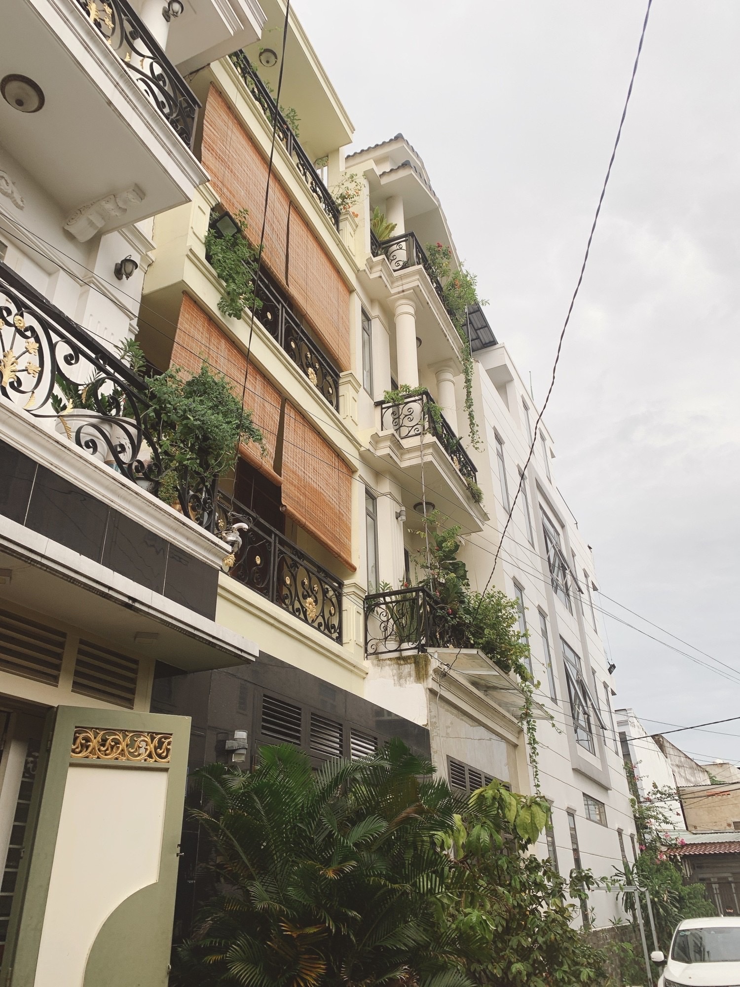 z5116164445413_b5ae0f3bffd4ed972cb761da7c01b4c5