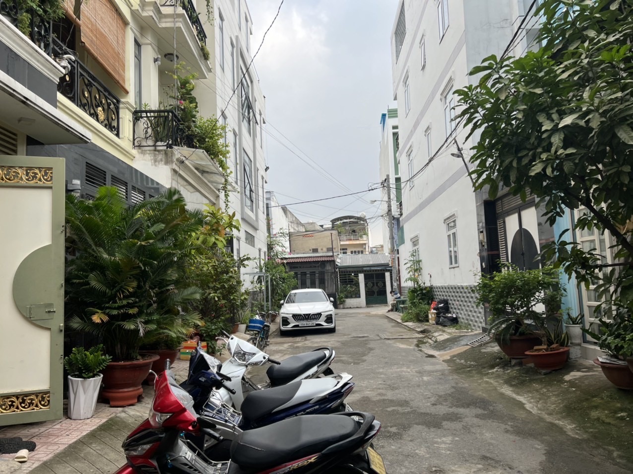 z5116164537334_02b174a663856e71b5bfdab8c63b34a1