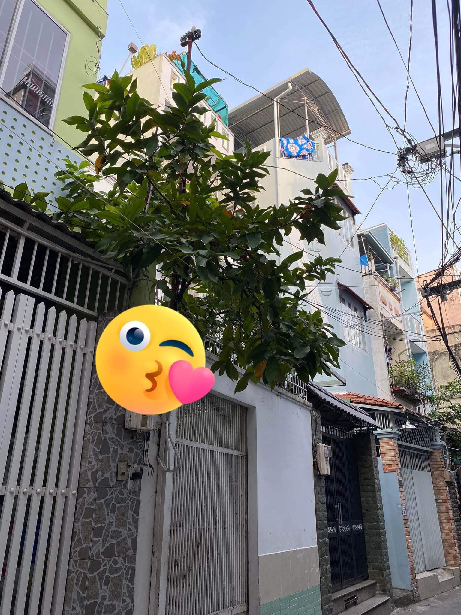 323552446_881662476595552_8377308615045697879_n