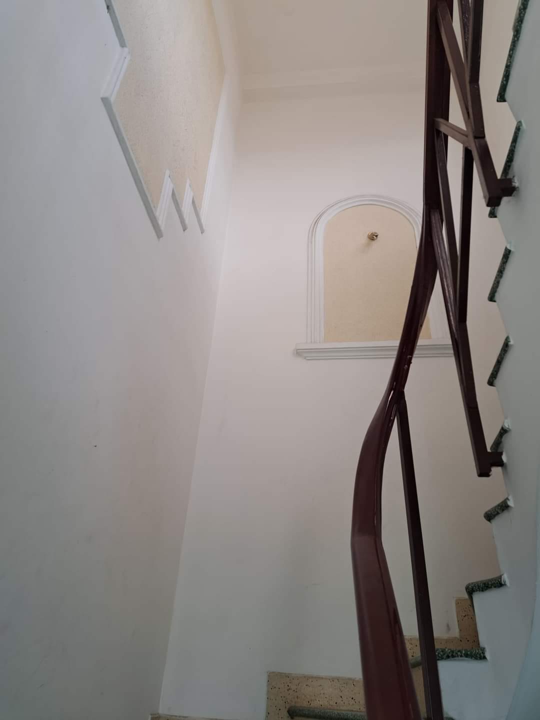 347415619_263982546032516_4276068058918903577_n