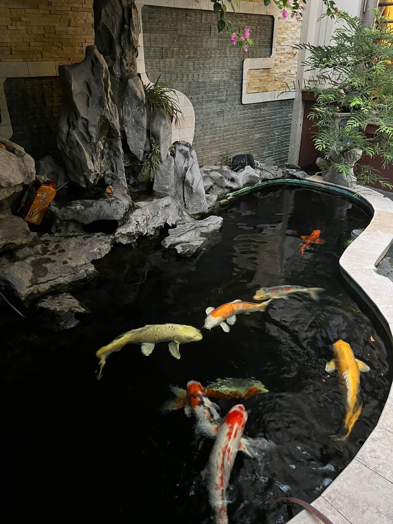 386771219_2729766690508161_2798370352905856300_n