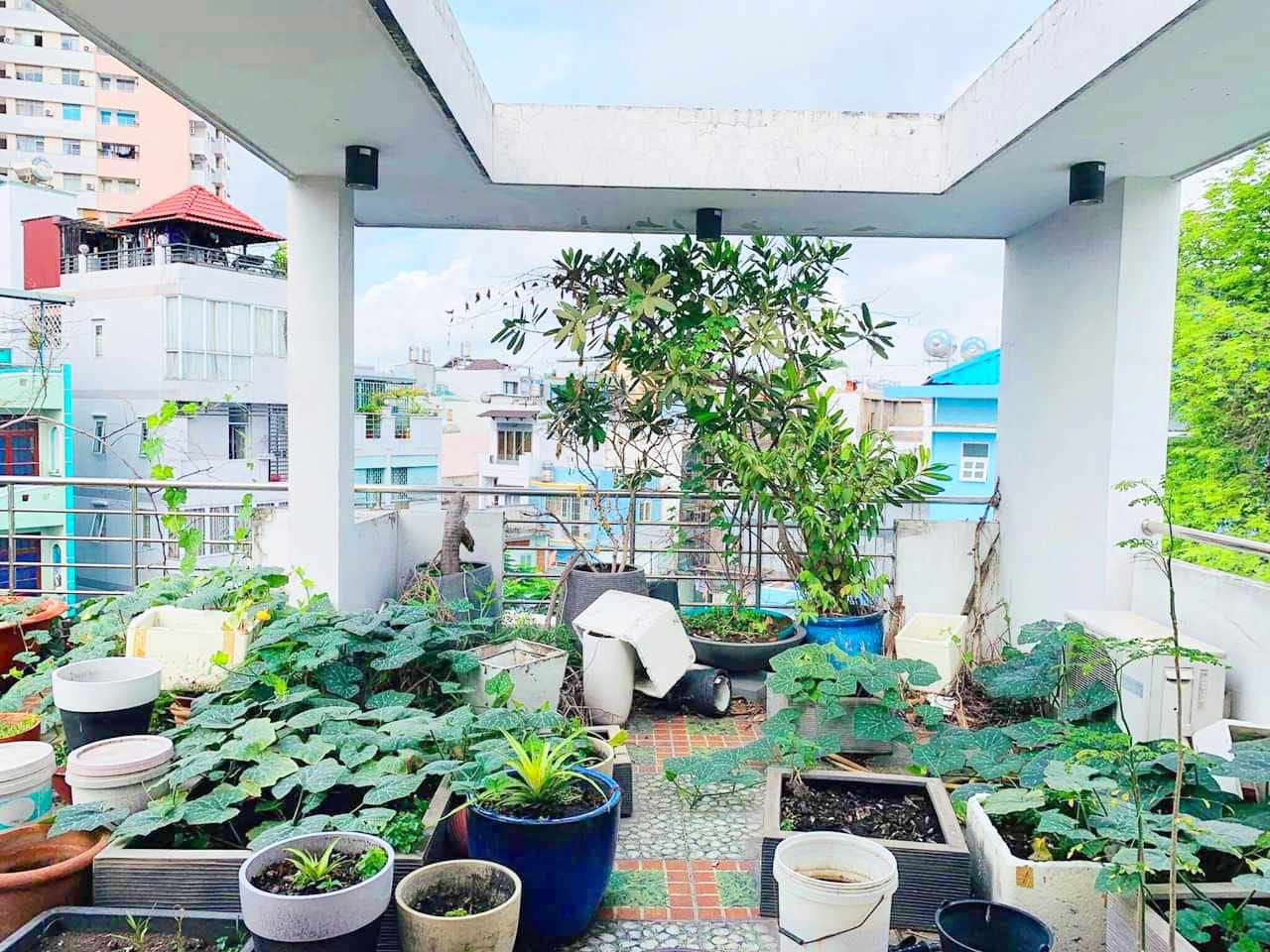 415215517_664387049186802_6003188078710079173_n