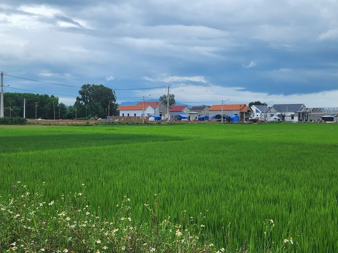 420763373_2737438866414930_4836337145517835346_n