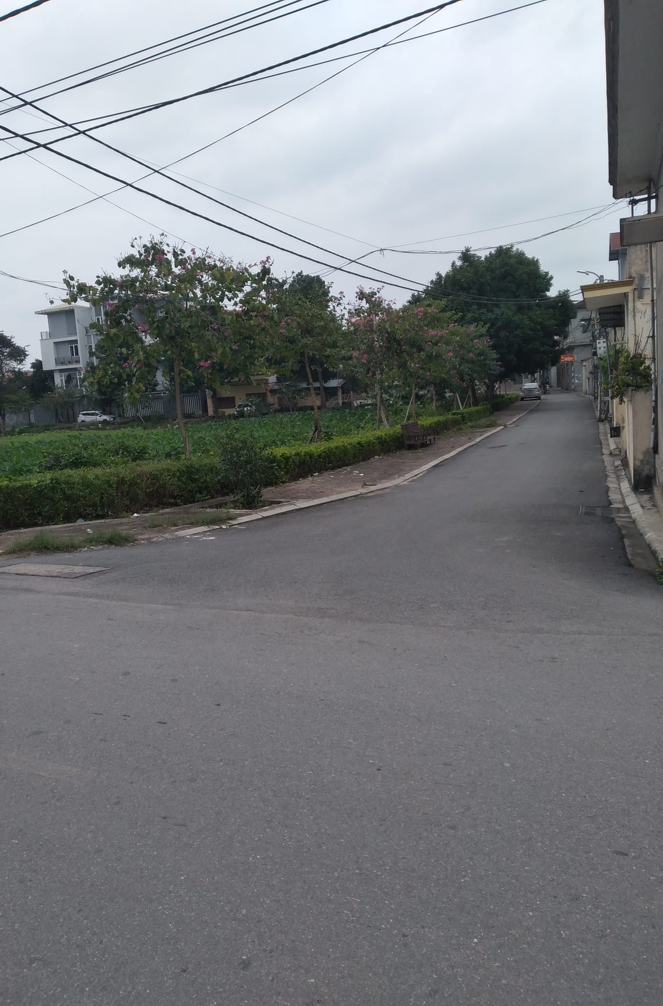 422692338_1765901853876155_7052836703679283273_n