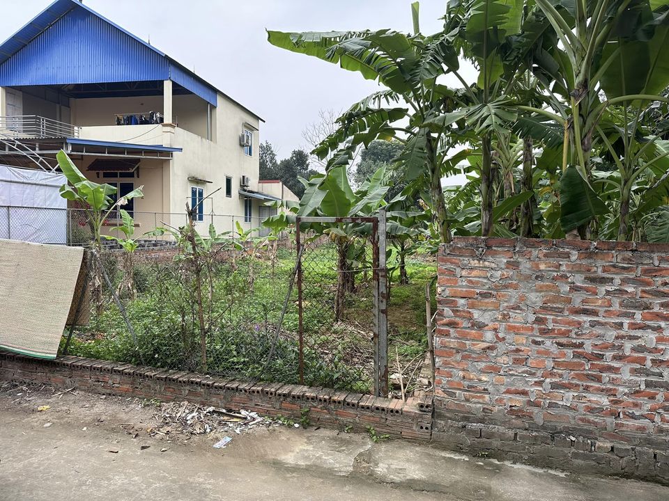 428608802_2202823866715720_821366407592671787_n