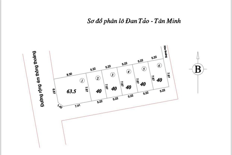 428609398_2202823776715729_1452789339152136271_n