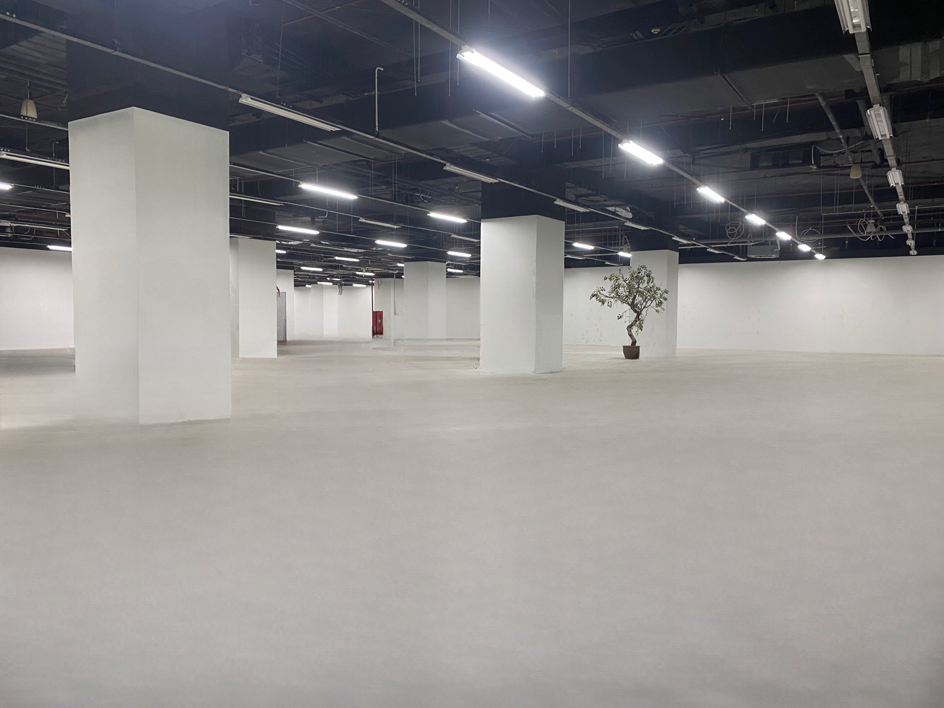 z4548198967319_647fce793e5ac1a0cc27b293595bf5cc