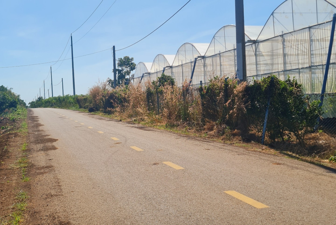 z5036848456811_0f83b4f54832f525b23156b3307c4786