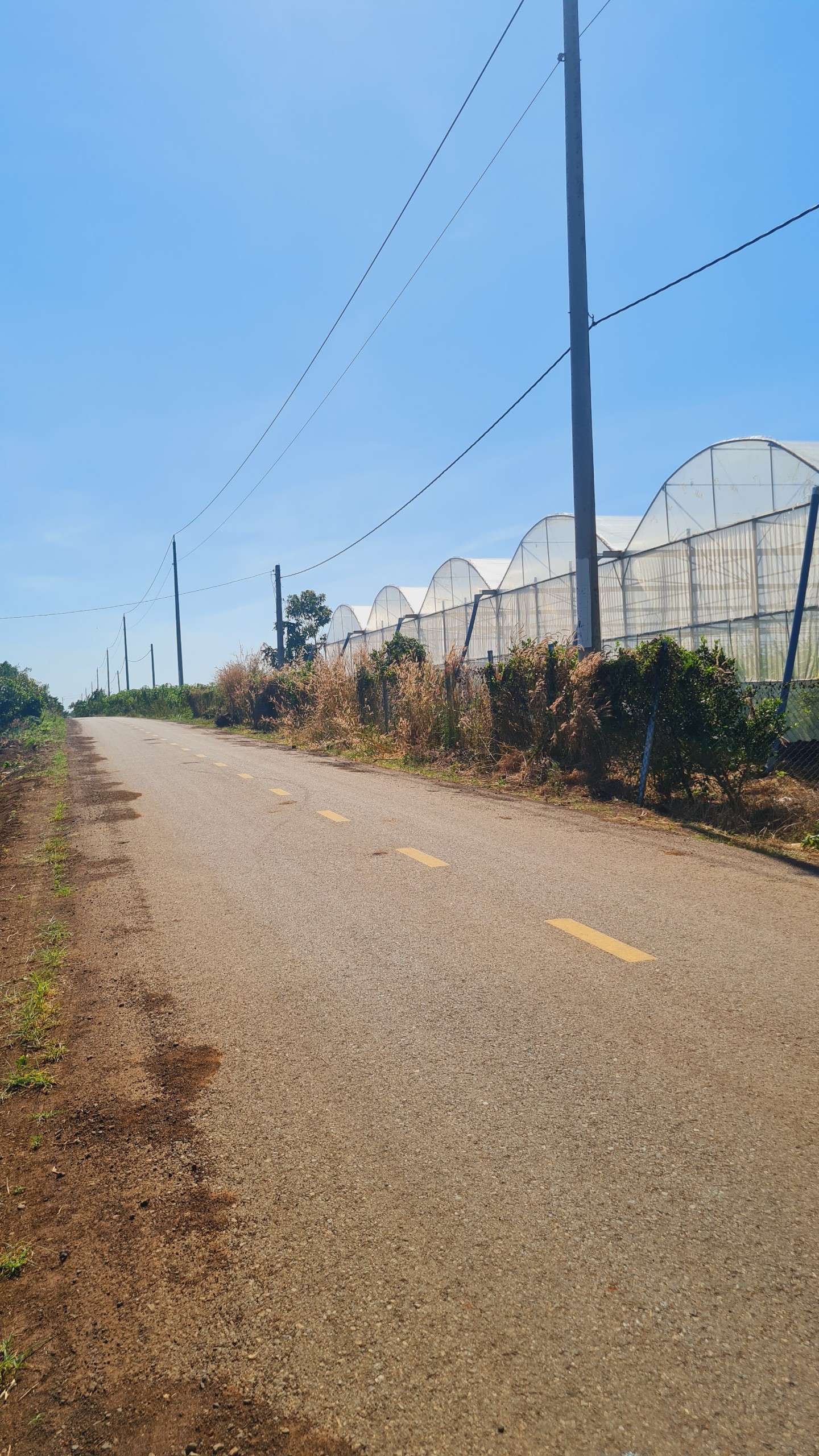 z5036848456811_0f83b4f54832f525b23156b3307c4786