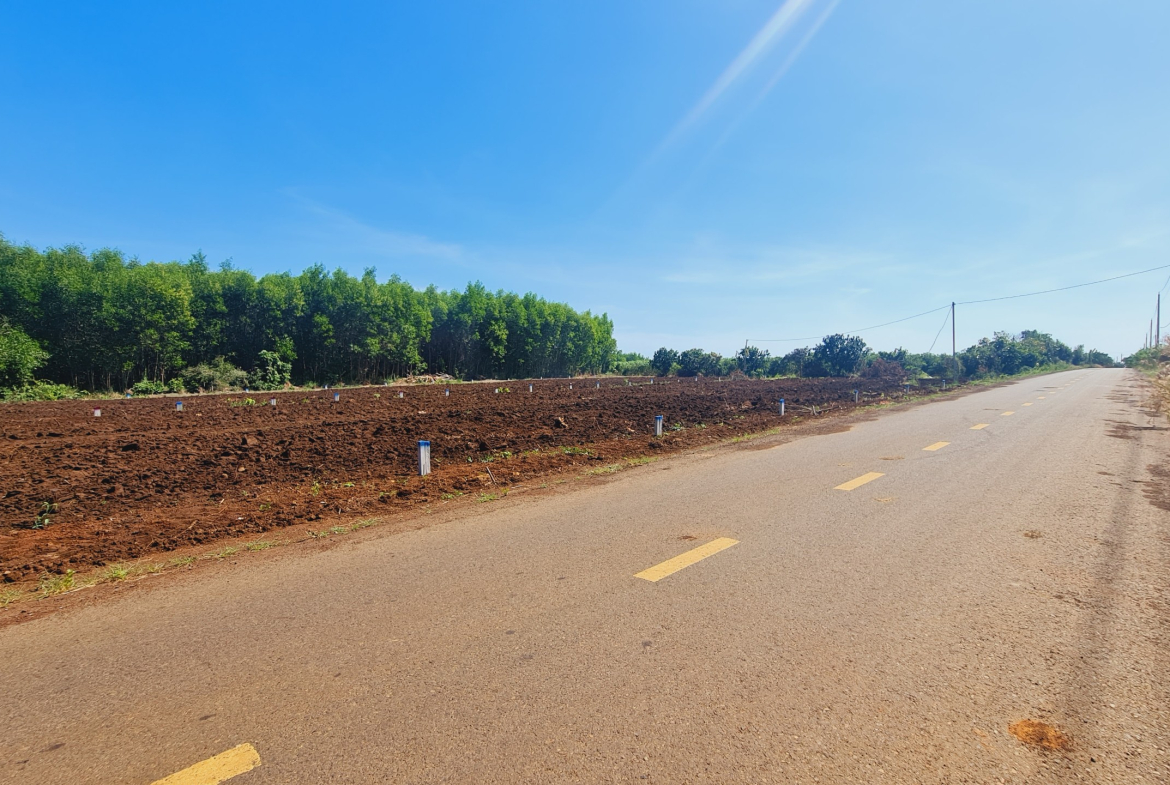 z5036848473748_58814a0a2a0467df60211637e3311b2b