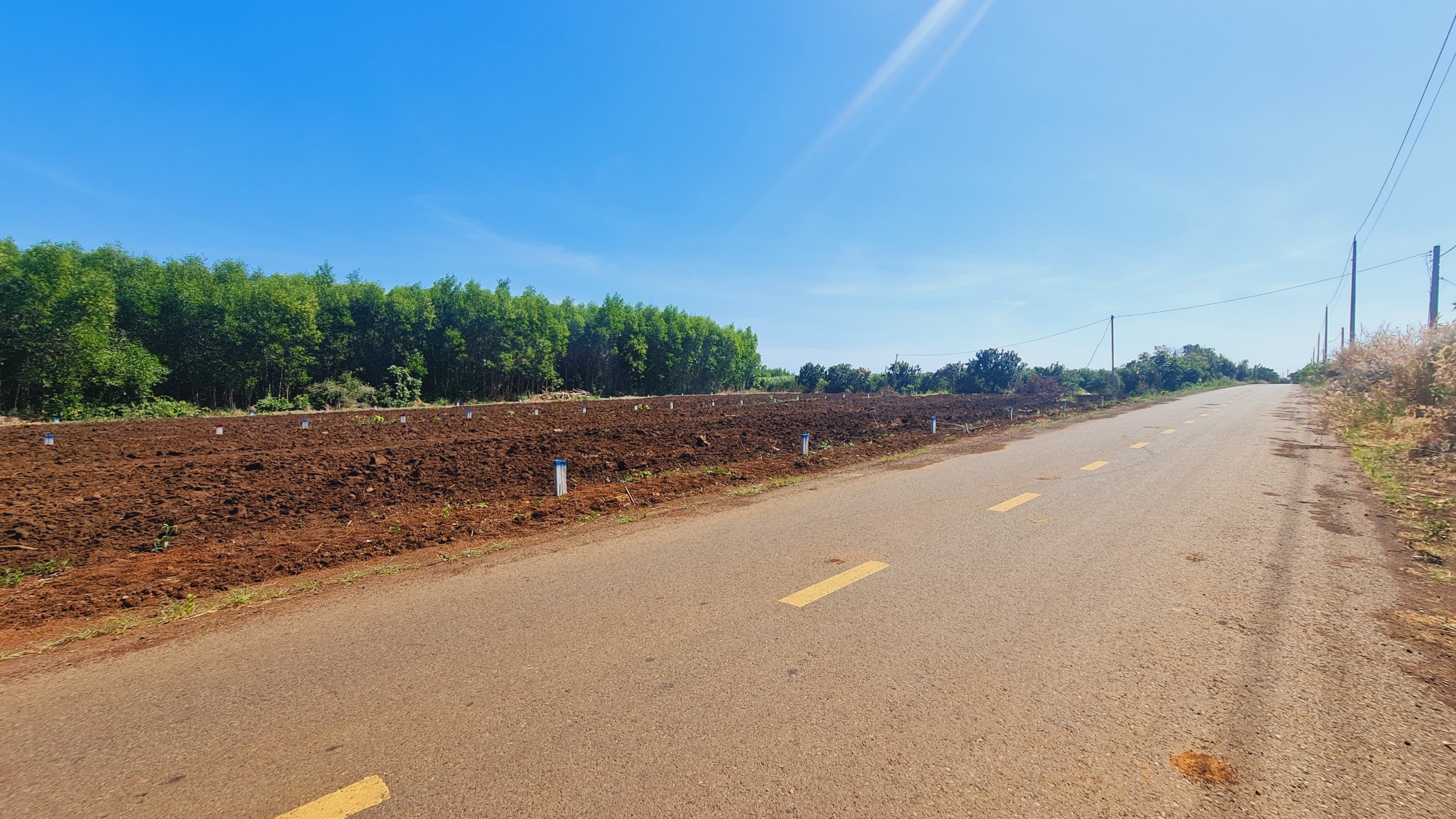 z5036848473748_58814a0a2a0467df60211637e3311b2b