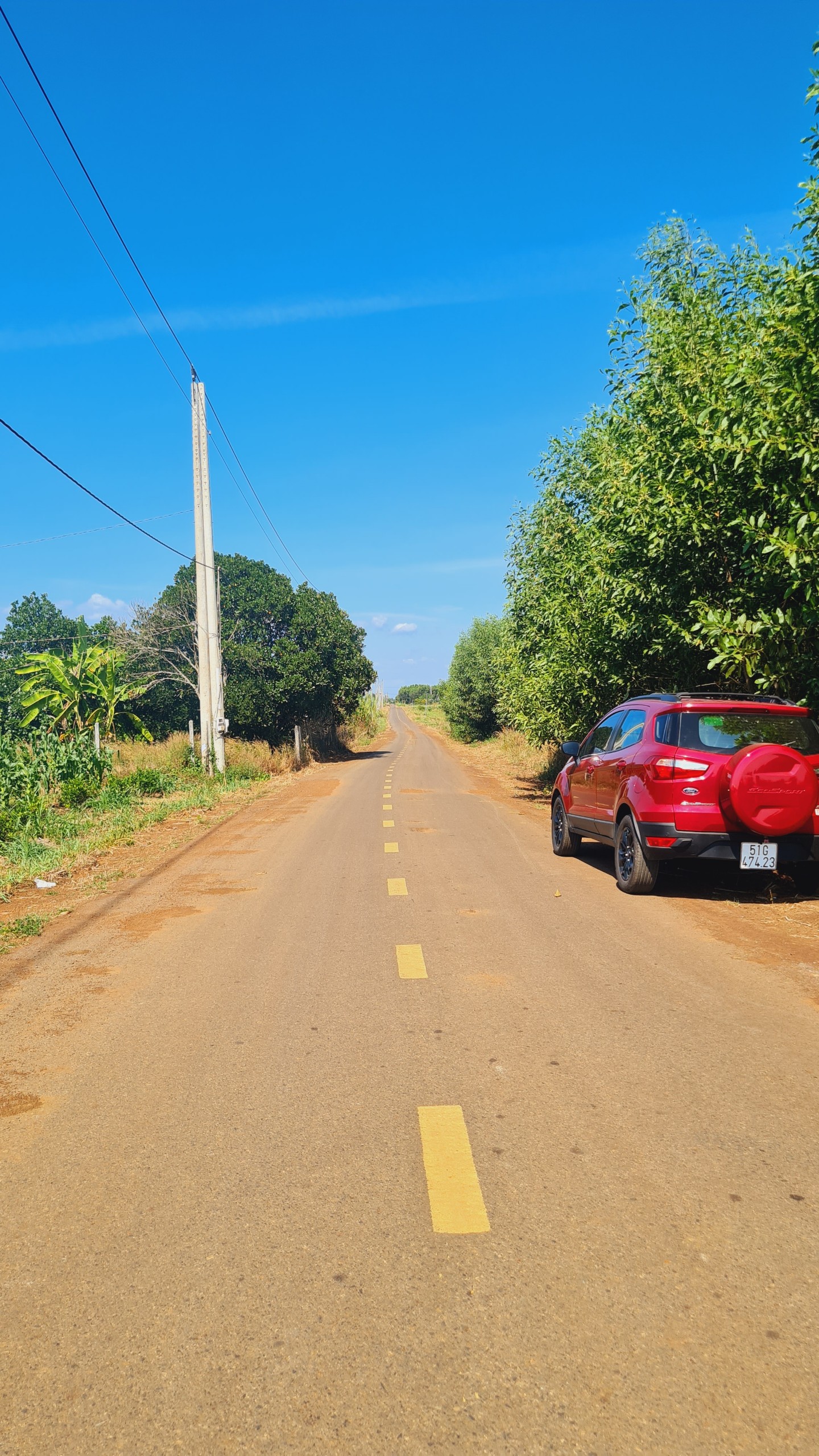 z5036848498612_78f2f4ccc9a66c505d5992b772040442