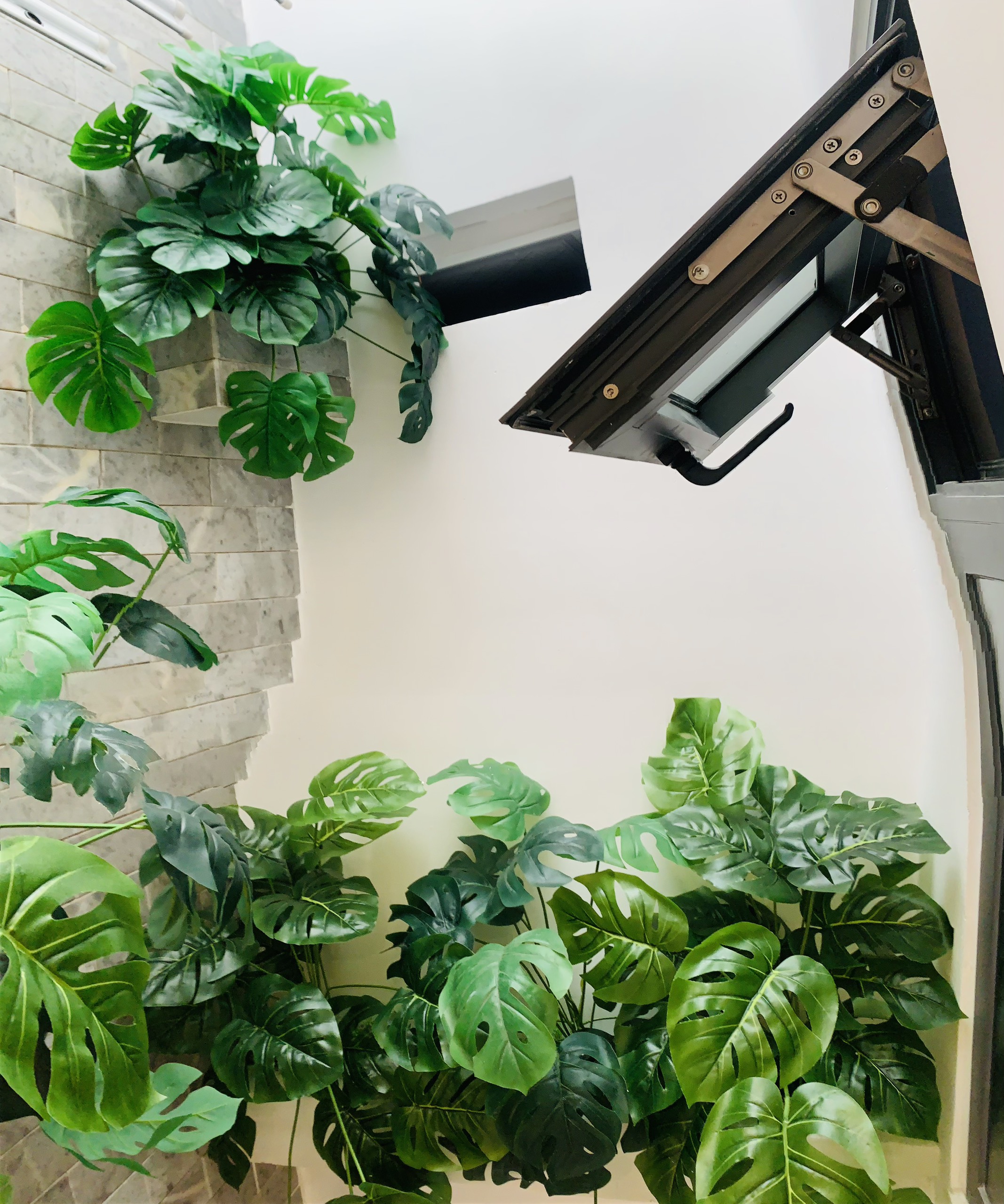 z5126198611778_ba5efc647b87ecd39c24252ab789c1b8