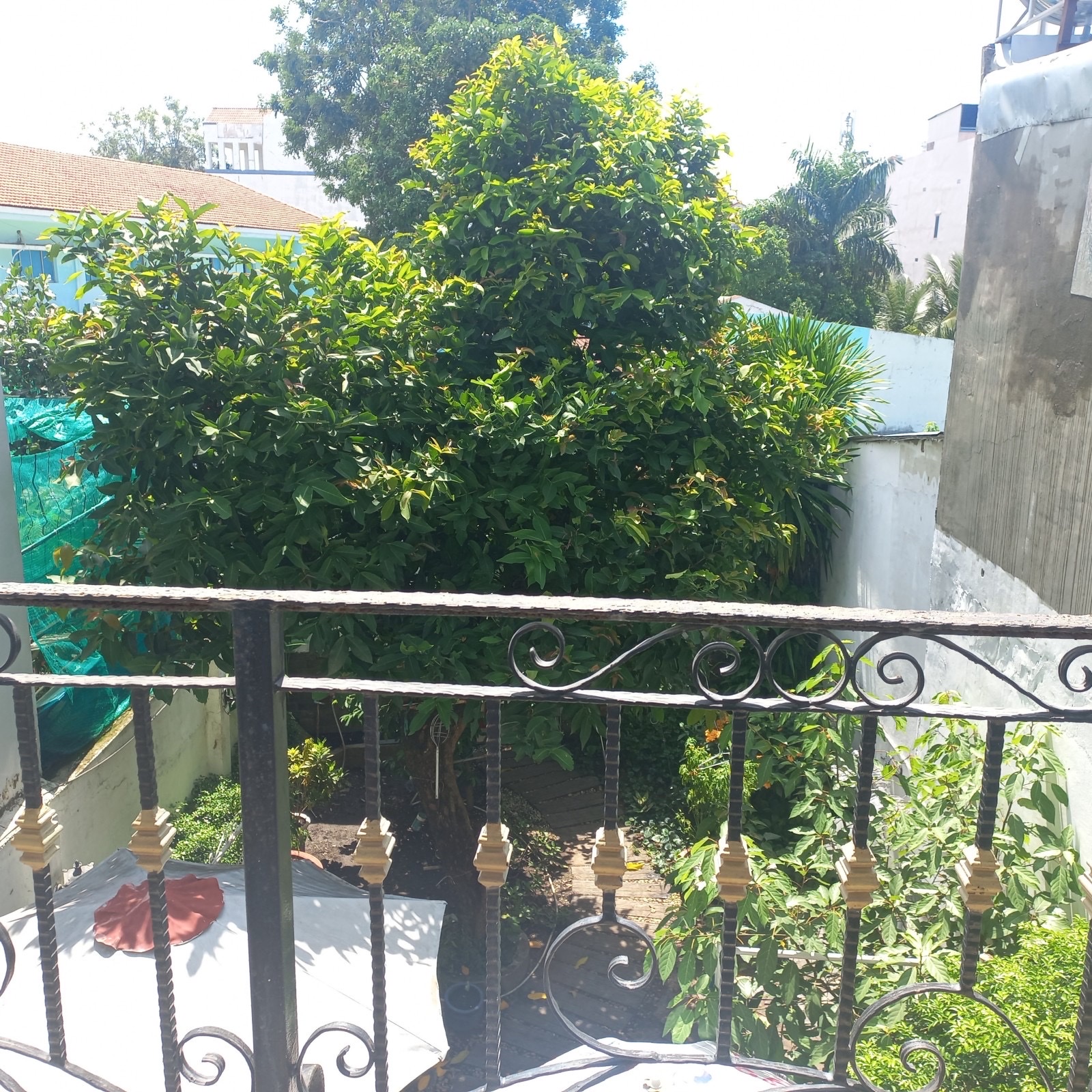 z5141867726831_6ee45f8f5fdb82f7c51627c118271a1b