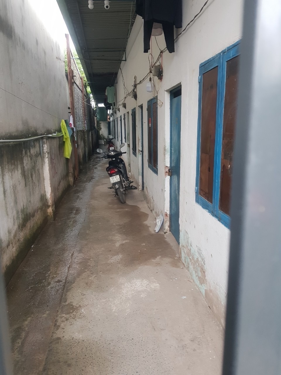 z5141867762031_062221a705a94ba7df87ec6f2199a0ac