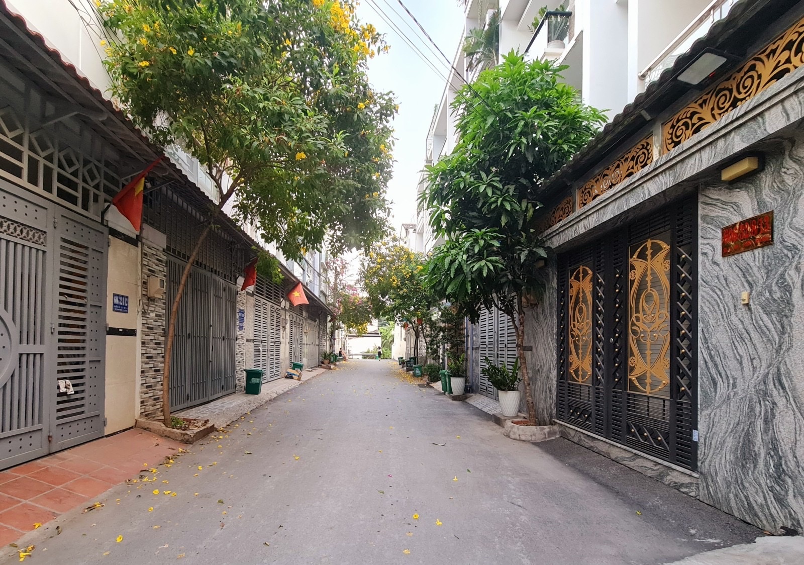 z5142048869769_543c8a72f42b9108cfc8b36aa56261ba