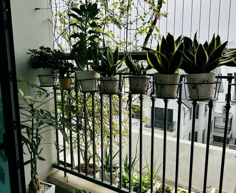 z5160540693079_3e22034ef8d833330a63d25314247242