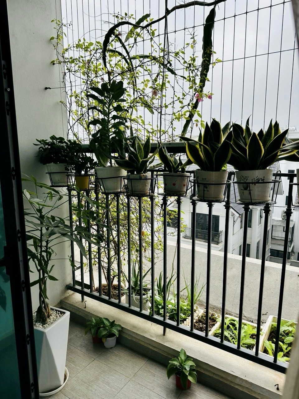 z5160540693079_3e22034ef8d833330a63d25314247242