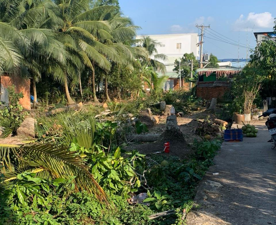 z5161830129944_0d47b9ef26b604c33641809e3077aba1